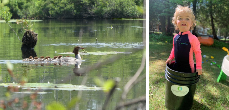 Ducks swimming in the water. Second image is a little girl in a bucket