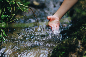 Septic and water quality