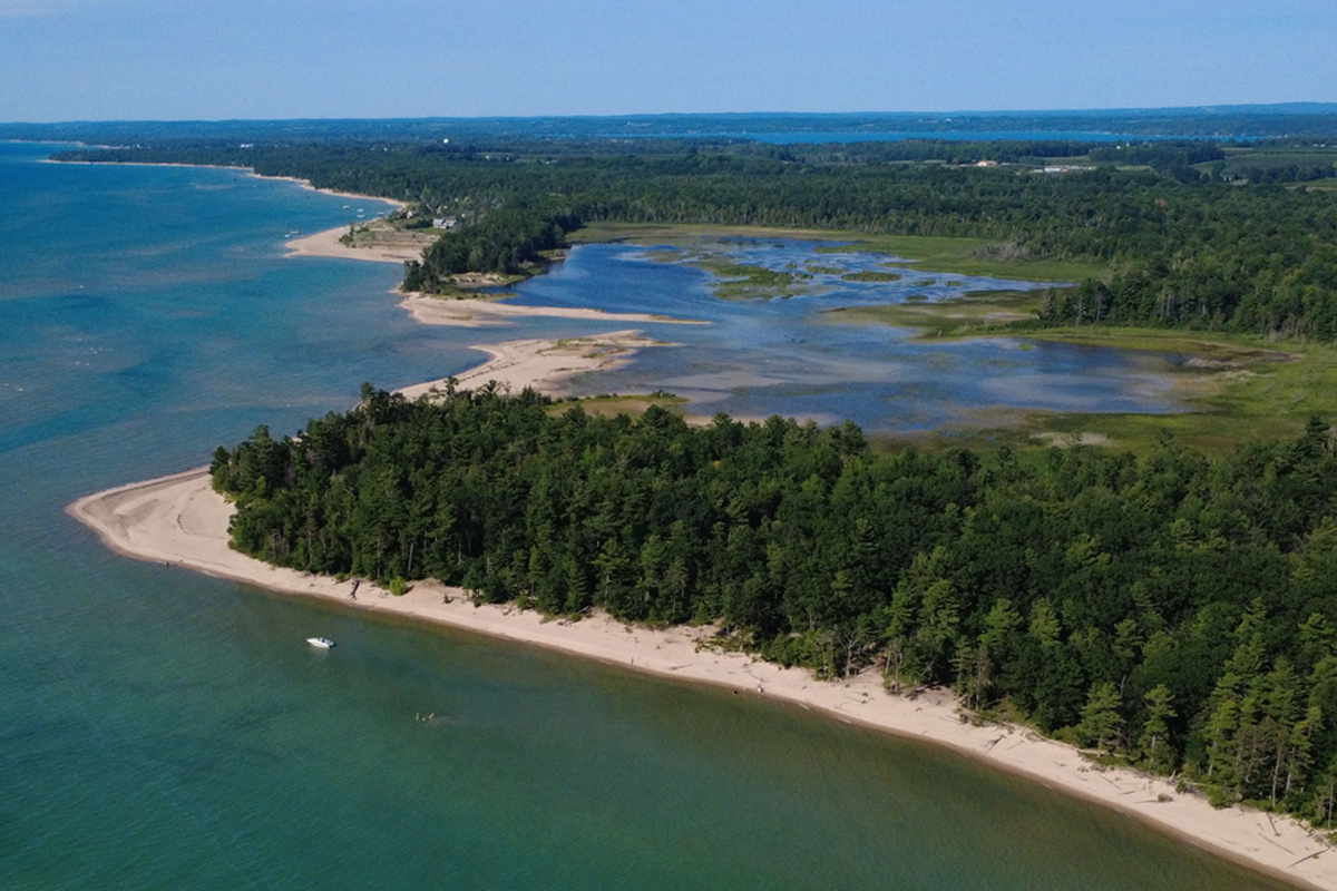 Healthy shoreline along the lake