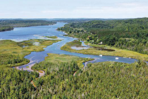 Elk-Skegemog watershed