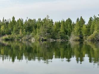Image of a shoreline of a lake
